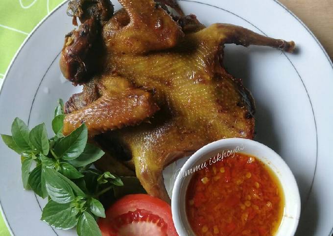 Lalapan Burung Dara Goreng Tanpa Nasi Persipro