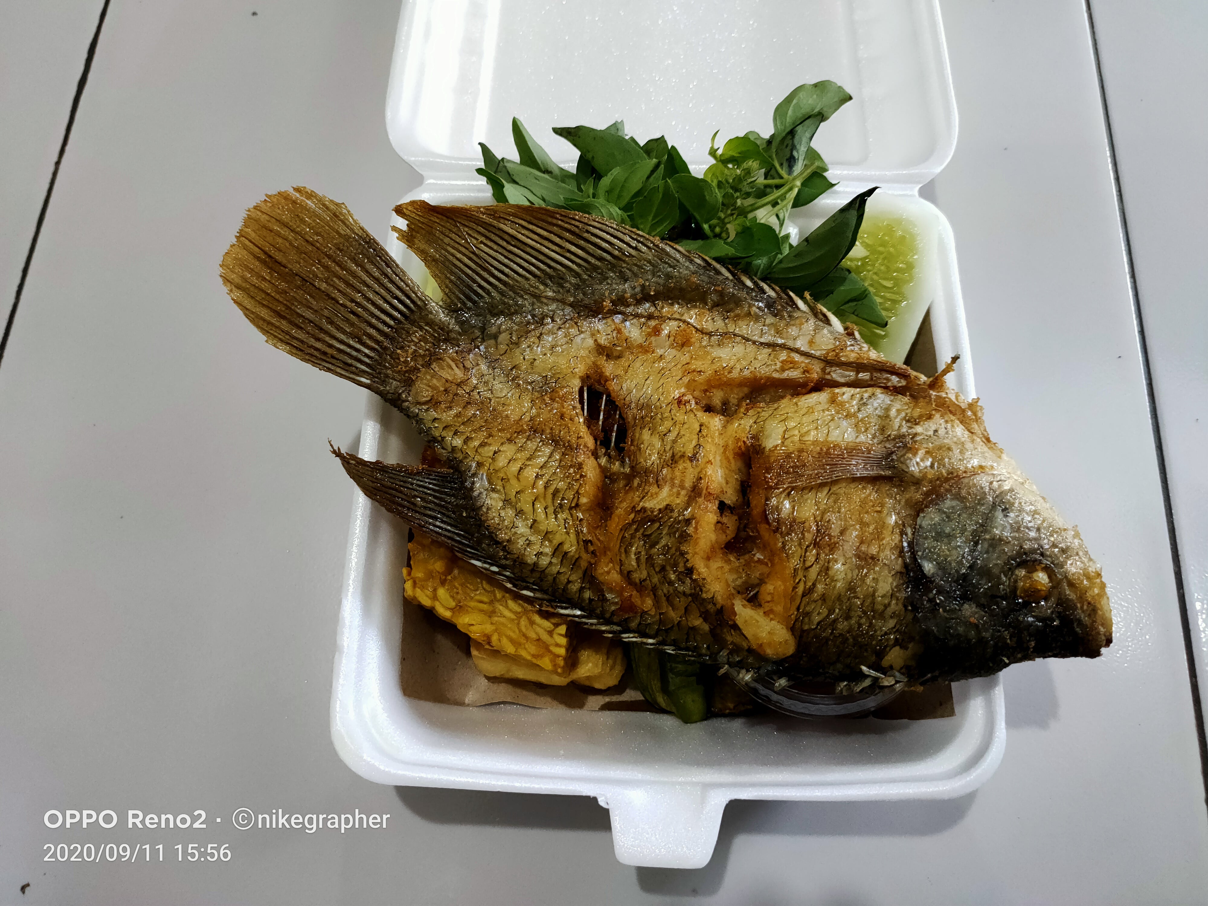 Lalapan Gurami Goreng dan Nasi Mbak Yanti