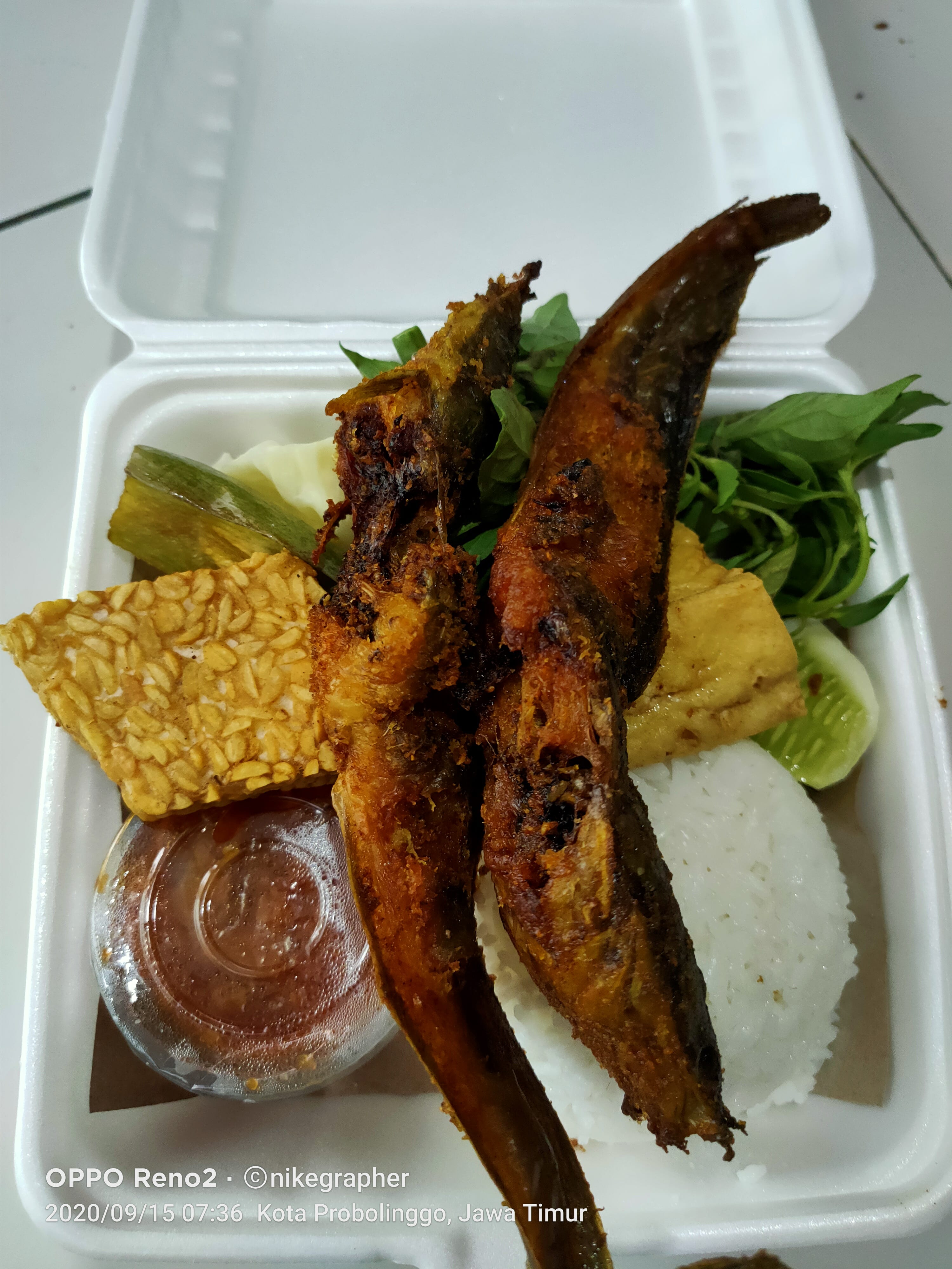 Lalapan Lele Goreng dan Nasi Mbak Yanti