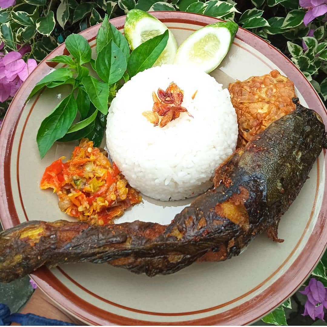 Lalapan Lele Goreng