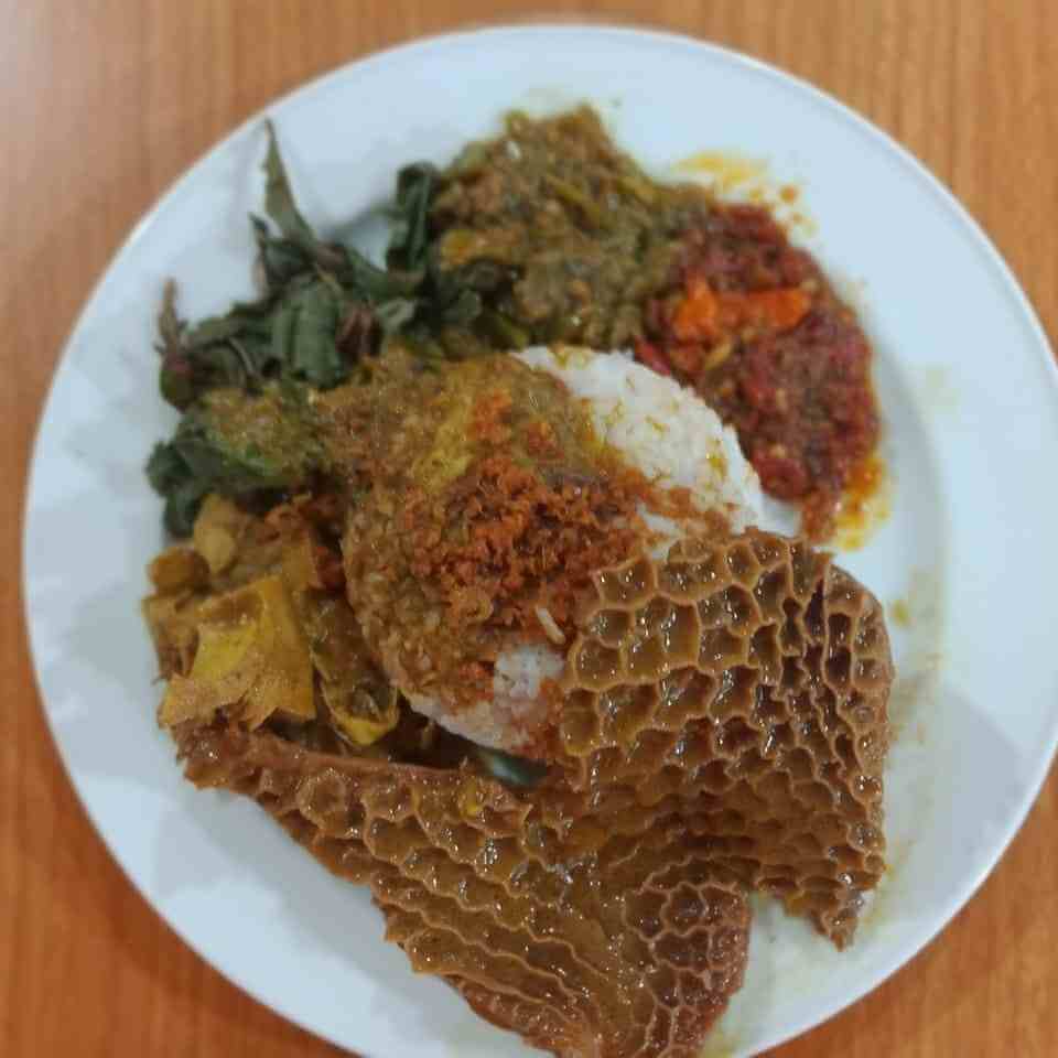 Nasi Babat Plus Sayur Cahaya Minang 2