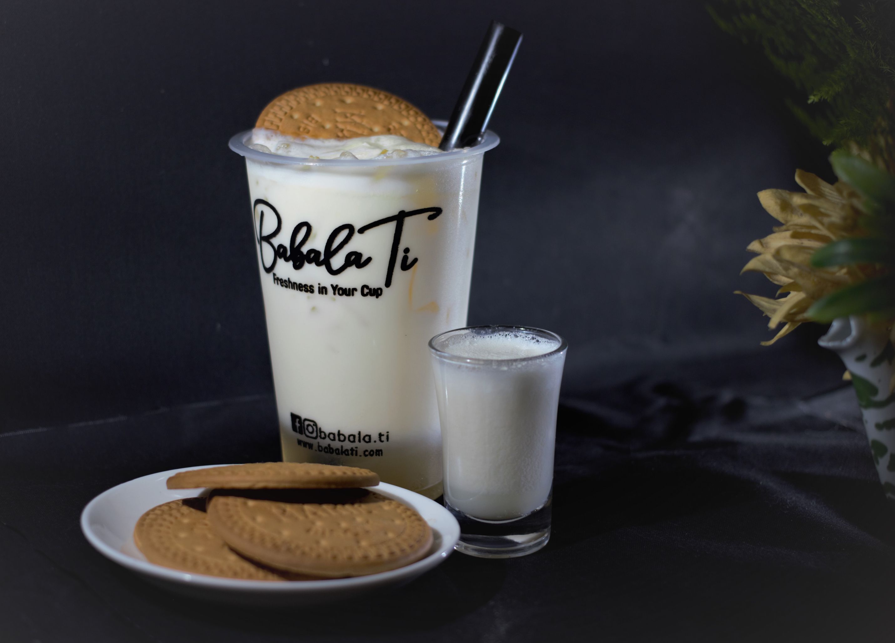 Regal Fresh Milk (Medium) Babalati
