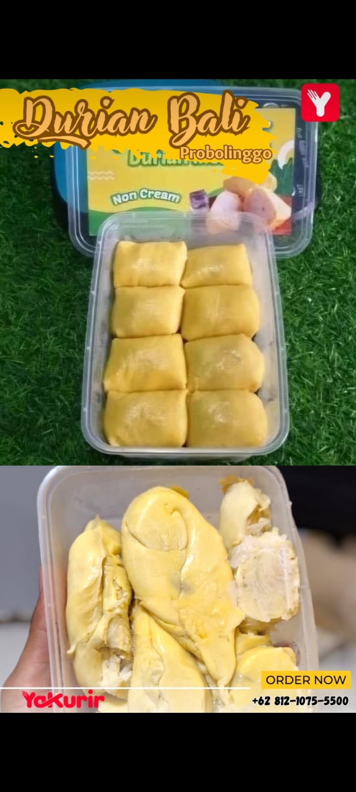 Durian Bali Probolinggo